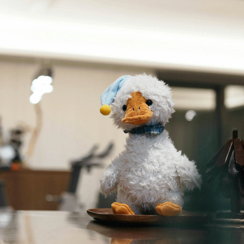 Cute Duck Plush Toy with Hat