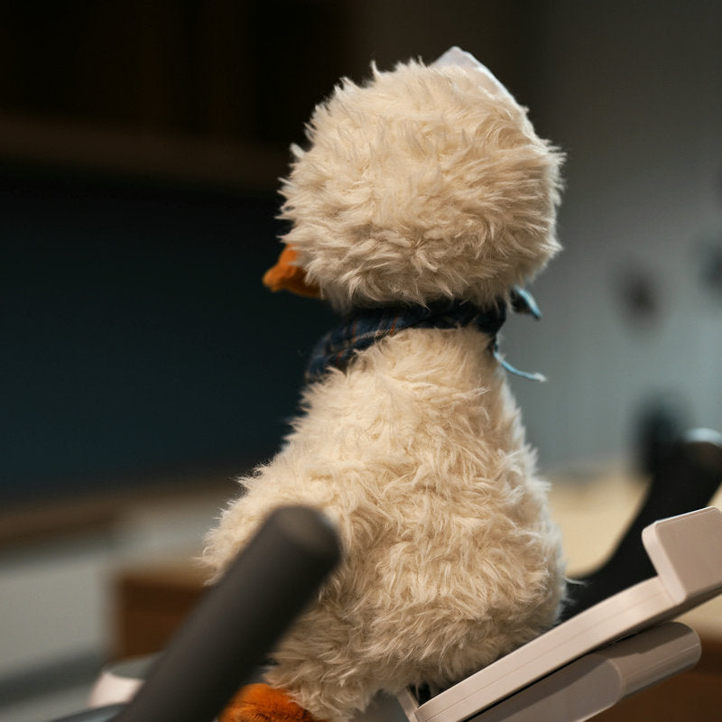 Cute Duck Plush Toy with Hat